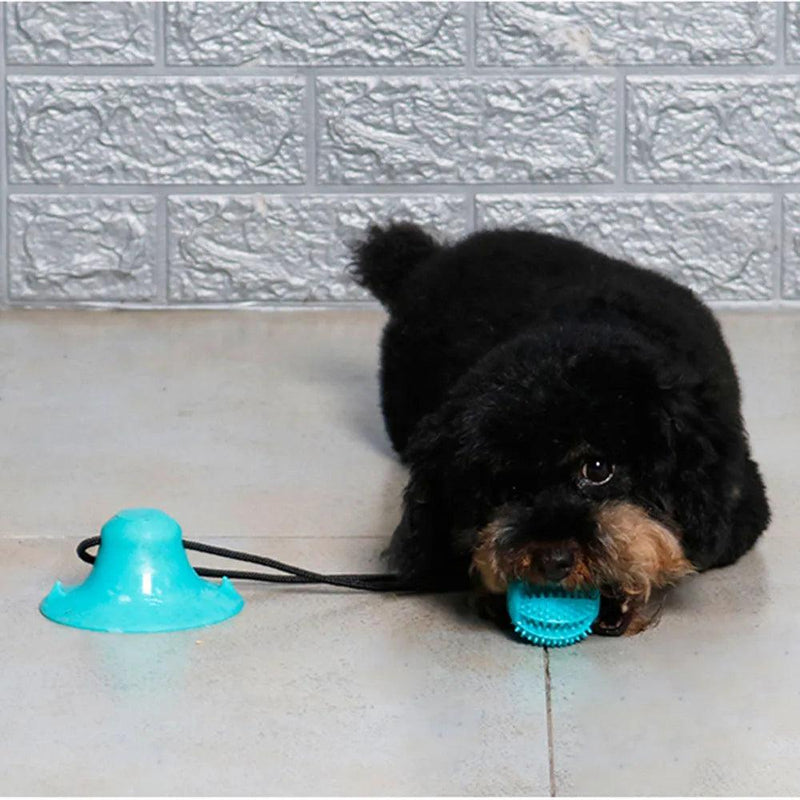 Dog Chew Ball Toys for Aggressive Chewers Interactive Dog Puzzle Toy Food Dispenser Suction Cup Dog Tug Toy for Dogs Teeth Clean - Imperio Js